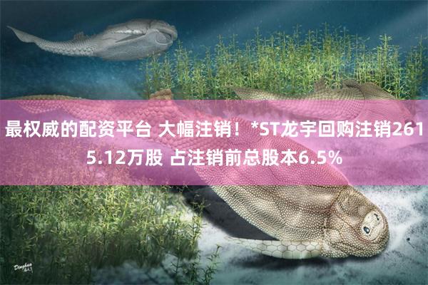 最权威的配资平台 大幅注销！*ST龙宇回购注销2615.12万股 占注销前总股本6.5%