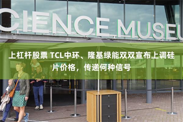 上杠杆股票 TCL中环、隆基绿能双双宣布上调硅片价格，传递何种信号