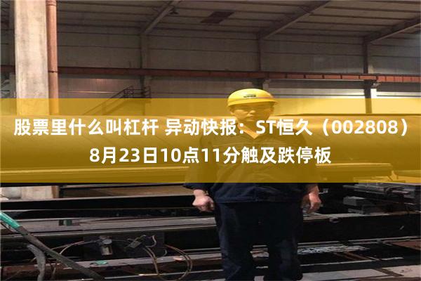 股票里什么叫杠杆 异动快报：ST恒久（002808）8月23日10点11分触及跌停板