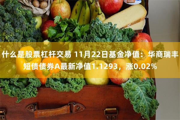 什么是股票杠杆交易 11月22日基金净值：华商瑞丰短债债券A最新净值1.1293，涨0.02%