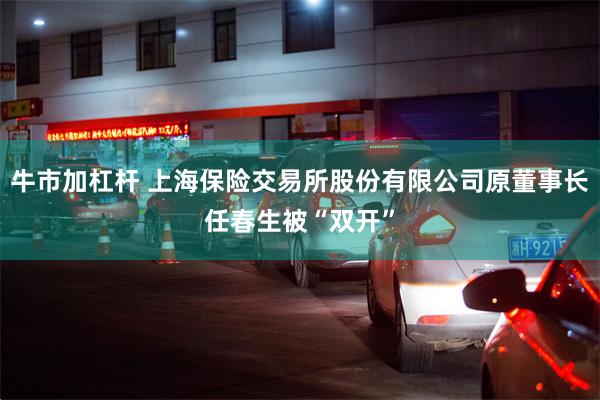 牛市加杠杆 上海保险交易所股份有限公司原董事长任春生被“双开”