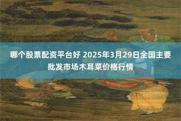 哪个股票配资平台好 2025年3月29日全国主要批发市场木耳菜价格行情