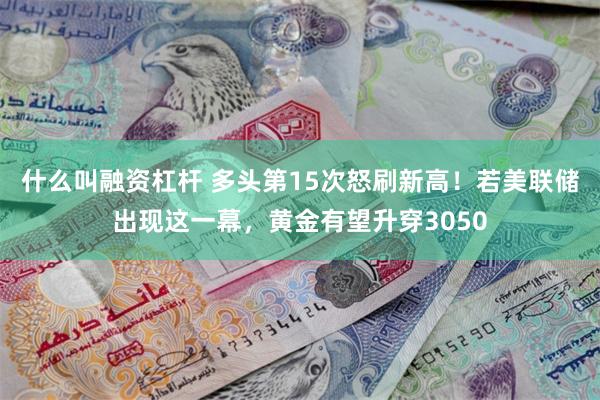 什么叫融资杠杆 多头第15次怒刷新高！若美联储出现这一幕，黄