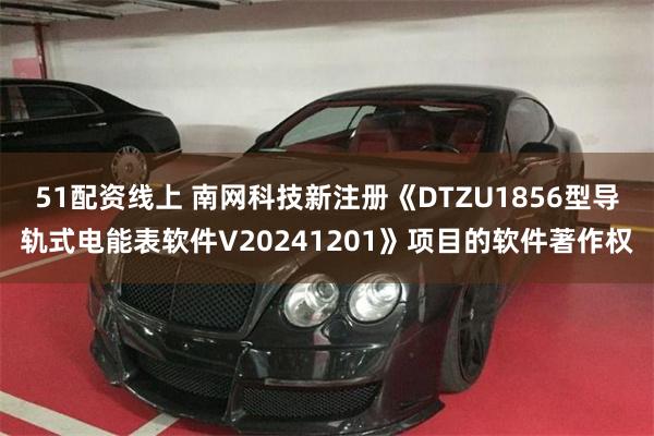51配资线上 南网科技新注册《DTZU1856型导轨式电能表