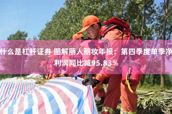 什么是杠杆证券 图解丽人丽妆年报：第四季度单季净利润同比减9
