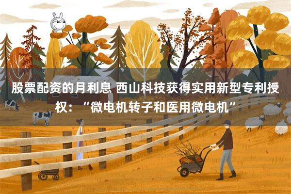 股票配资的月利息 西山科技获得实用新型专利授权：“微电机转子