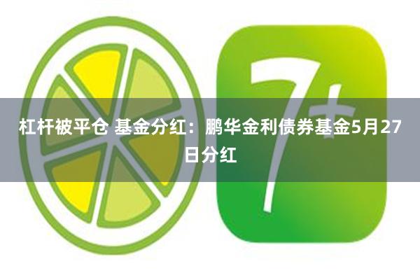 杠杆被平仓 基金分红：鹏华金利债券基金5月27日分红