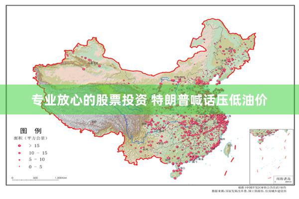专业放心的股票投资 特朗普喊话压低油价