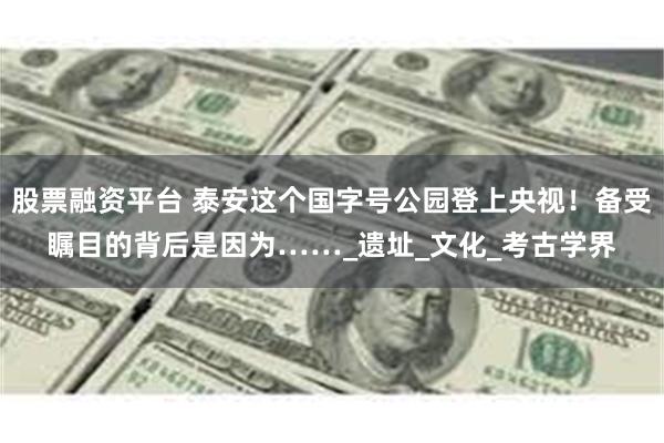 股票融资平台 泰安这个国字号公园登上央视！备受瞩目的背后是因