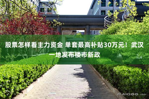 股票怎样看主力资金 单套最高补贴30万元！武汉一地发布楼市新