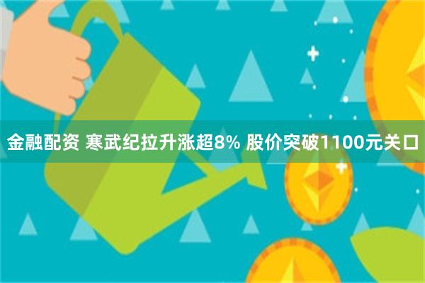 金融配资 寒武纪拉升涨超8% 股价突破1100元关口