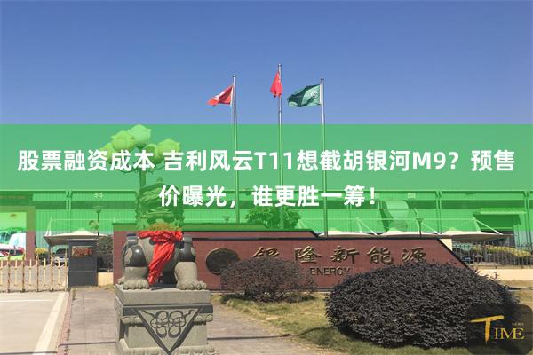 股票融资成本 吉利风云T11想截胡银河M9？预售价曝光，谁更