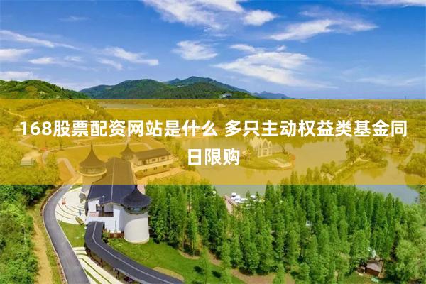 168股票配资网站是什么 多只主动权益类基金同日限购