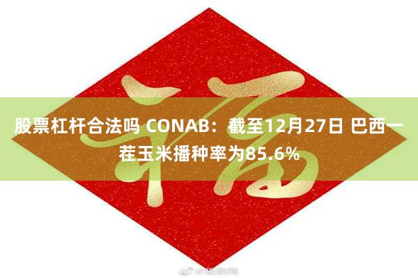股票杠杆合法吗 CONAB：截至12月27日 巴西一茬玉米播